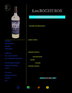 Icon of Tech LosBocherosCabernetSauvignon 2023