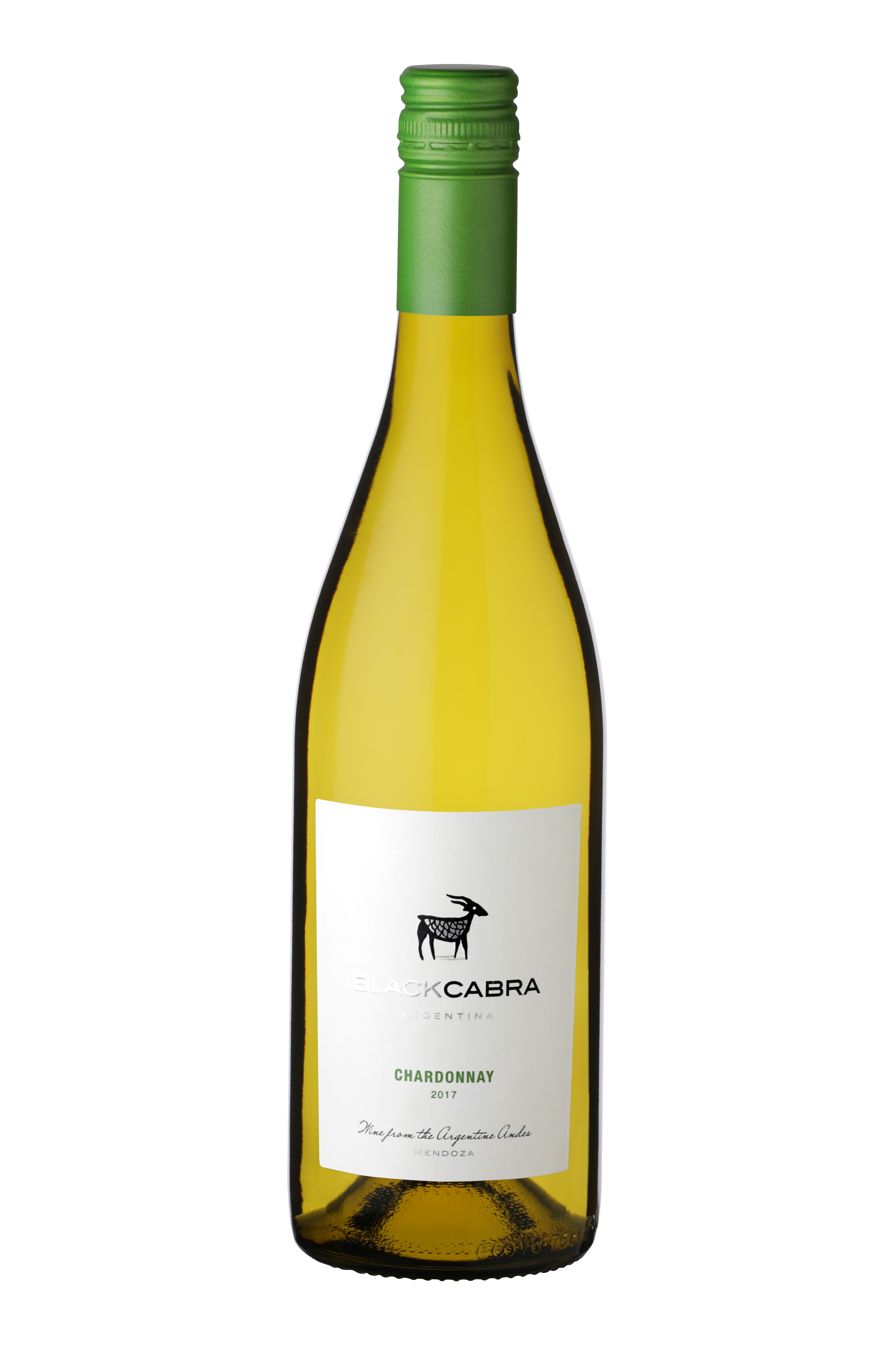 Chardonnay Bottle Shot