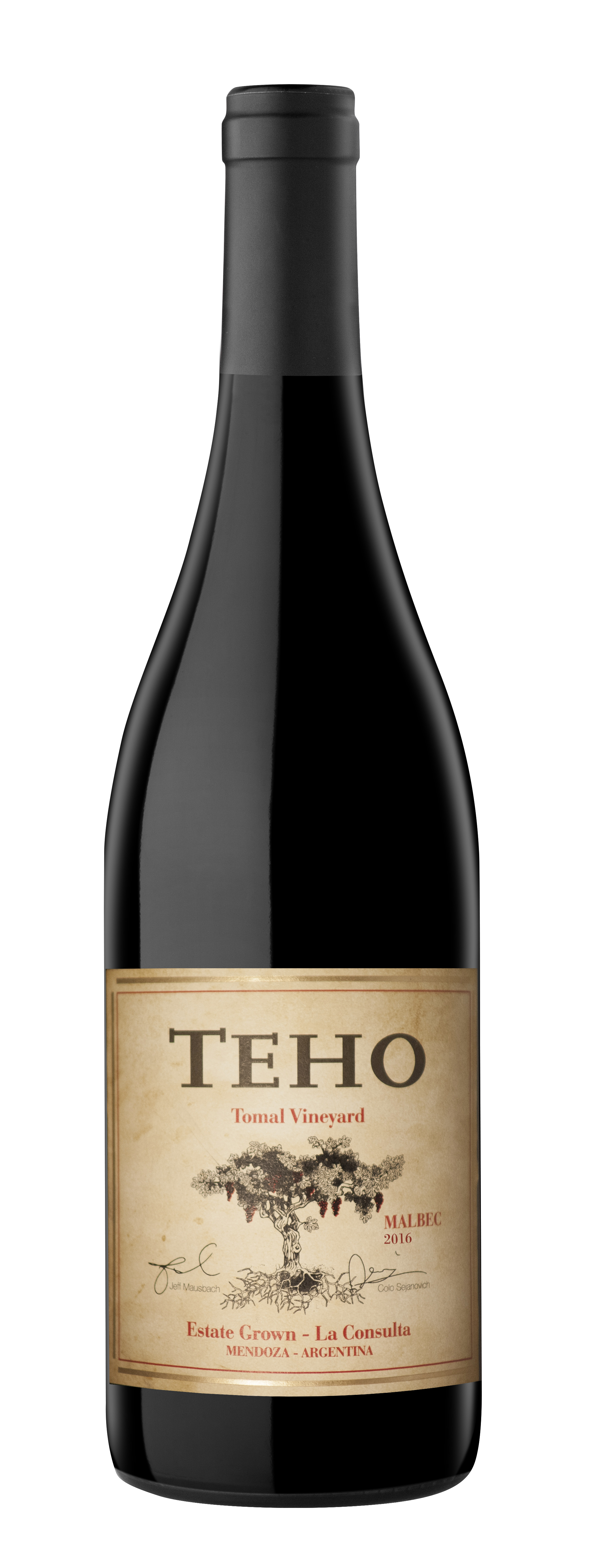 TeHo Malbec Bottle Shot