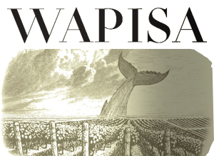 Wapisa Logo
