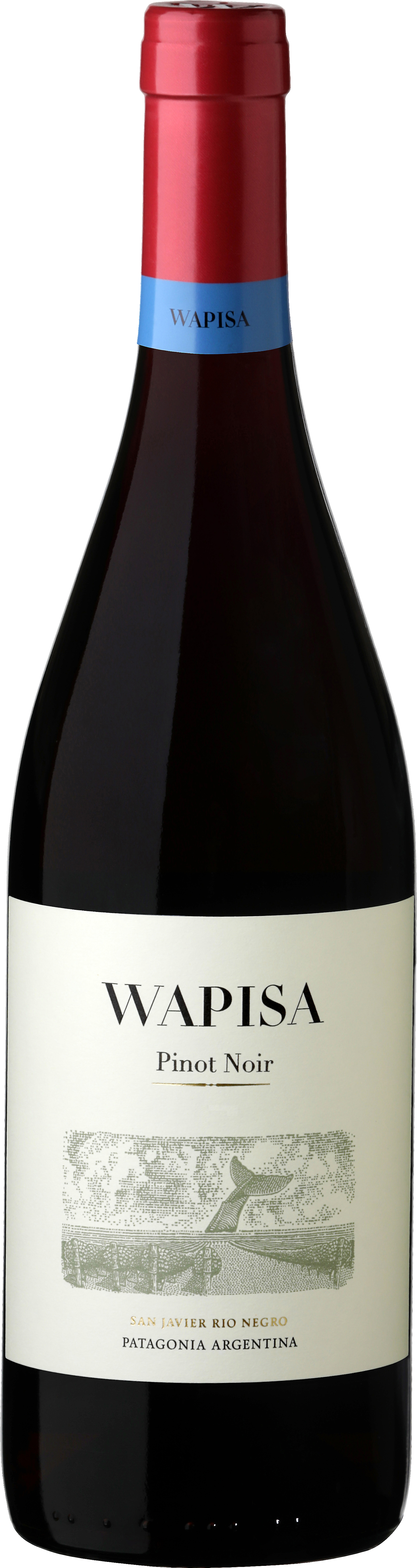 Pinot Noir Bottle Shot