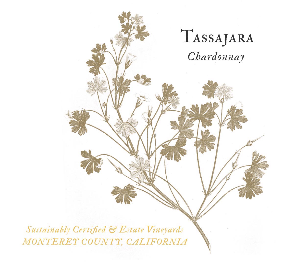 Chardonnay Front Label